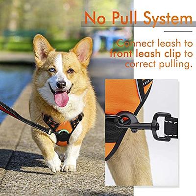 rabbitgoo Dog Harness, No-Pull Pet Harness with 2 Leash Clips, Adjustable  Soft Padded Dog Vest, Reflective No-Choke Pet Oxford Vest with Easy Control