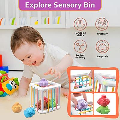 Sensory Toys, Baby Shape Sorter Toy, Montessori Developmental Toys for 1-3  Year Old, Storage Cube Bin & 12 Sensory Shape Blocks, Early Learning