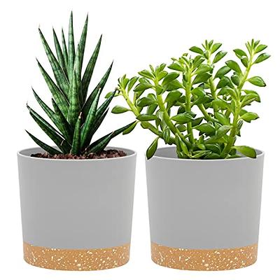 QCQHDU 21 inch Tall Planters for Outdoor Plants Set of 2,Outdoor