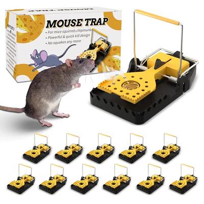 Instant Mouse Mice Traps for House Indoor Outdoor Easy Setup Reuse - 6 Pack