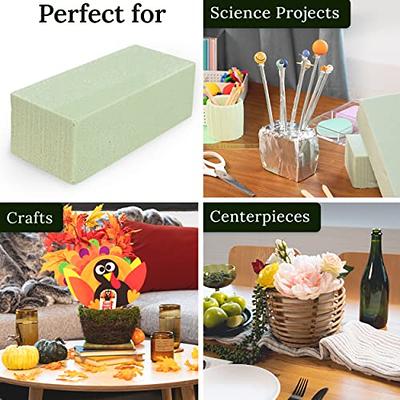 Kedudes Premium Dry Floral Foam Blocks for Flower Arrangements