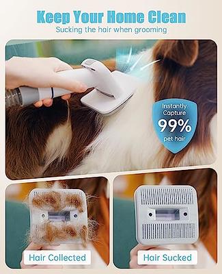 Canister Vacuum Round Horse Hair Brush