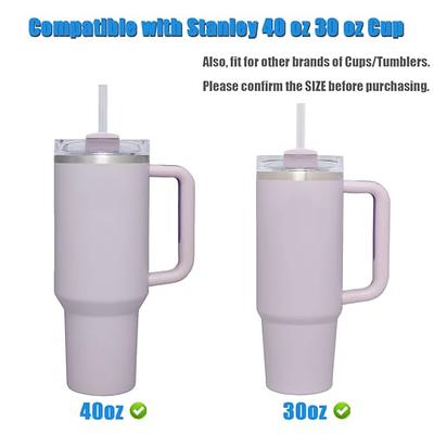 Stainless Steel Straw Replacement Fits for Stanley Adventure Travel Tumbler  and Simple Modern 40 oz Tumblers - 8 Reusable Metal Straws with Silicone