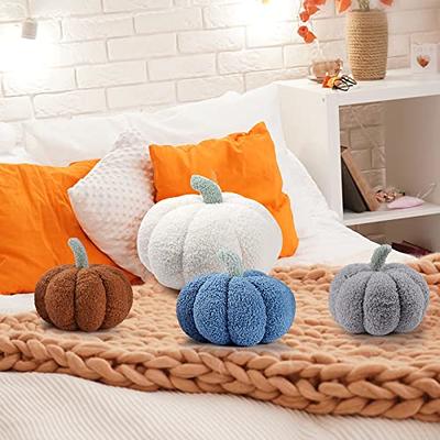 Fall Thanksgiving Decorative Throw Pillow Pumpkins Lumbar Set of 2, Size: Multi-Color, White