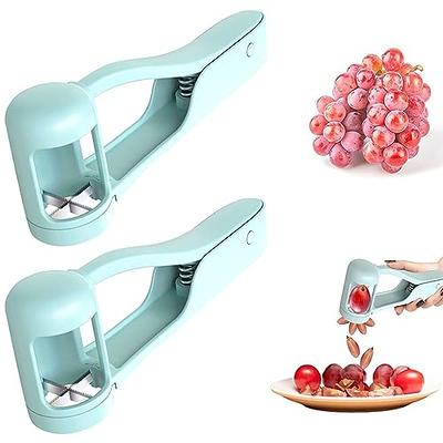 2 PCS Grape Cutter Grape Slicer, Grape Cherry Tomato Strawberry Cutter  Quarter Slicer tool For Vegetable Fruit Salad Cake Decoration,Stainless  Steel Creative Small Tool Fruit Slicer - Yahoo Shopping