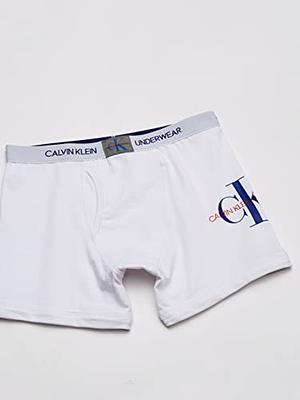 Calvin Klein Boys' Modern Cotton Assorted Boxer Briefs, Size: Medium, Blue