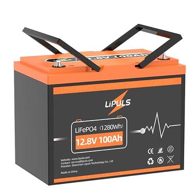  DEESPAEK LiFePO4 Battery 12V 60Ah Lithium Battery with Upgarded  BMS, Rechargeable Deep Cycle Lithium Iron Phosphate Batteries, Perfect for  Marine, Solar Power, RV, Off- Grid Application : Automotive