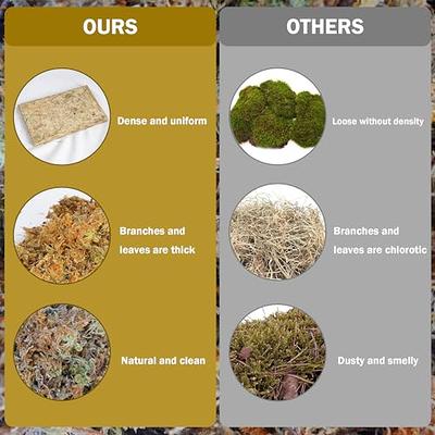 Natural Sphagnum Moss for Plants - Orchid Potting Mix Peat Moss Carnivorous  Dried Bark for Sarracenia, Gardening Succulents Reptiles Decorating