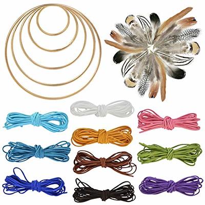 8Pcs 8 Inches Dream Catcher Rings Metal Hoops Macrame Ring for Crafts and Dream  Catcher Supplies, Gold