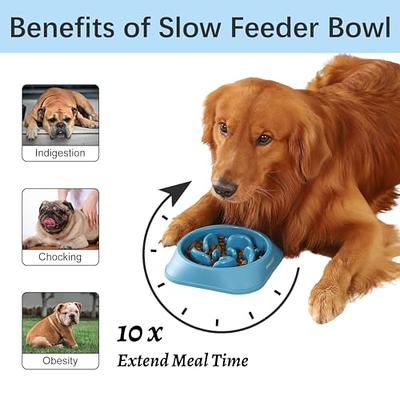 All For Paws Slow Feeder Dog Bowls,2 in 1 Interactive Food Maze Fun Dog  Slow Feeder Dog Bowl with Interchangeable Mazes,Non Slip Dog Puzzle Bowl