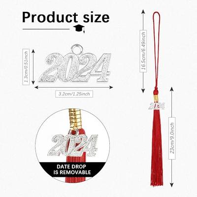  2024 Graduation Tassel 2 Pcs, 2024 Tassel Charm