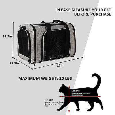 PetAmi Airline Approved Pet Carrier for Cat, Soft Sided Dog Carrier for  Small Dog, Cat Travel Supplies Accessories Indoor Cats, Ventilated Pet  Carrying Bag Medium Kitten Puppy, Large Heather White Red 