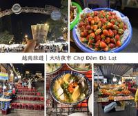 【越南大叻旅遊】夜幕下的山城，逛夜市品嚐各式越南小吃與市場文化