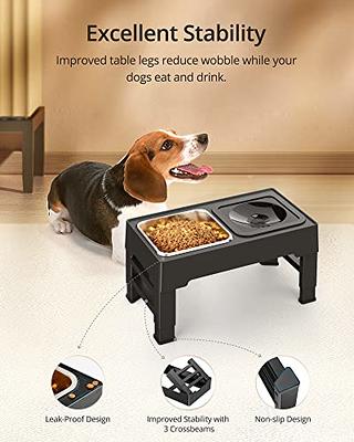 Raised Food and Water Bowls with Adjustable Stand, No Spill Stainless Steel Pet Bowls with 4 Heights for Dogs Black