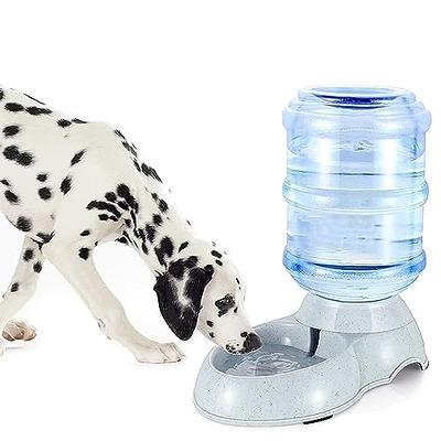 TENINYU Pet Water Dispenser Station - 3 Gallon/11L Replenish Pet Waterer for Big Dog Cat Animal Automatic Gravity Water Drinking Fountain Bottle Bowl