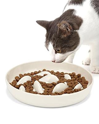 PETTOM Cat Slow Feeder Bowl, Fun Cat Puzzle Feeder Bowl Anti