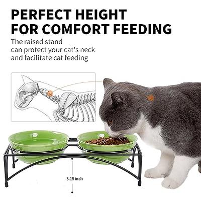 Detachable Elevated Cat Bowl, Elevated Food Bowls Cats