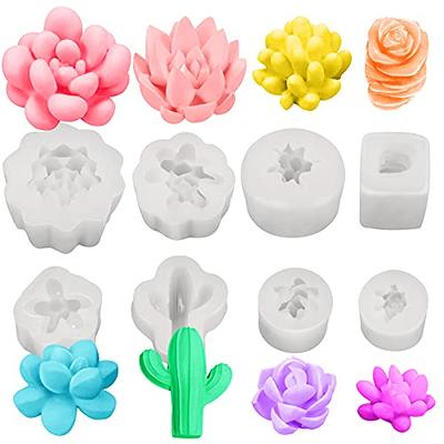 Chocolate Mold: Cactus