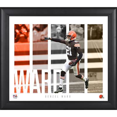 Deebo Samuel San Francisco 49ers Framed 15 x 17 Player Panel Collage