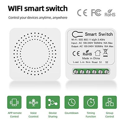 Tuya Mini WiFi Smart Switch Relay Module with Timing Function 16A 2-Way DIY  Smart Light Switch for Smart Home, Compatible with Alexa Google Home Smart