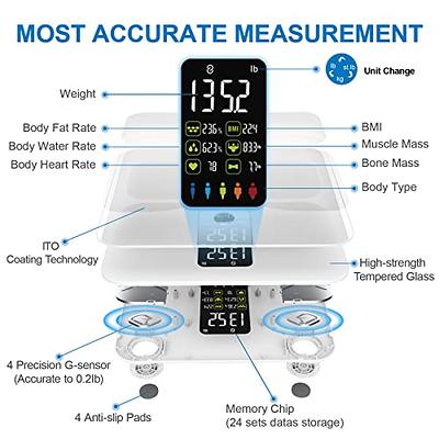  anyloop Smart Scale for Body Weight and Fat Percentage, Highly  Accurate Digital Bathroom Scales for BMI Muscle Body Fat, 14 Body  Composition Monitor, Large LED Display, 400lb : Health & Household