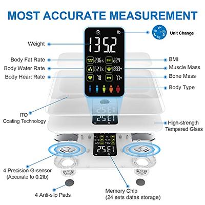 Scales for Body Weight and Fat, Lescale Large Display Weight Scale, High  Accurate Body Fat Scale Digital Bluetooth Bathroom Scale for BMI Heart  Rate, 15 Body Composition Analyzer Sync with Fitness App