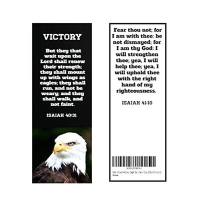 Eagles Wings Father's Day Card