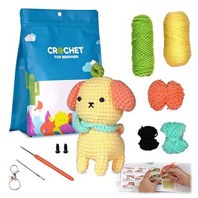  Qunland Crochet Kit for Beginners, 6 Pcs Potted