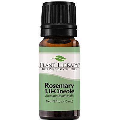 Plant Therapy Balsam Fir Essential Oil 30 mL (1 oz) 100% Pure, Undiluted,  Therapeutic Grade