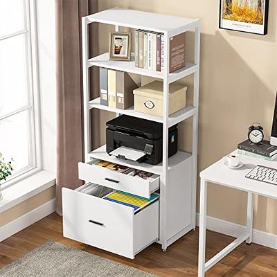 Tribesigns Bookcase Bookshelf, 4-Tier Modern File Cabinet with 2