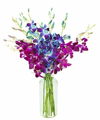 Valentine Blue Orchid Bouquet