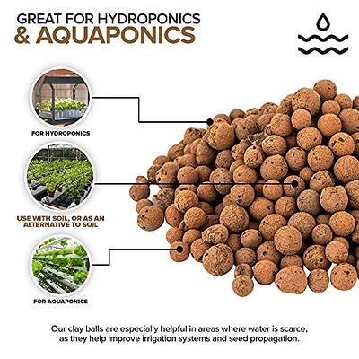  Expanded Clay Pebbles 1 qt, 8mm-14mm Clay Balls for Plants,  Organic Plant Grow Media, Porous Stones for Hydroponics, Drainage,  Decoration, Aquaponics, and Other Gardening Essentials : Patio, Lawn &  Garden