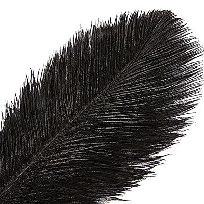 30 Pcs Black Long Ostrich Feathers for Centerpieces 10-12 Inch/ 25-30 Cm  Large N