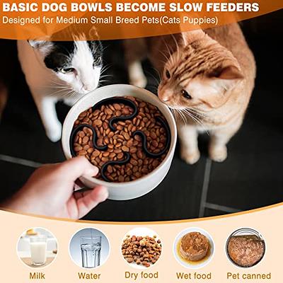 BurgeonNest Slow Feeder Dog Bowls,27oz 4-in-1 Food and Water Bowls with  No-Spill and Non-Skid Silicone Mat, Stainless Steel Slow Down Eating Puzzle