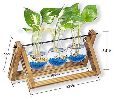 Plant Terrarium Wooden Stand - Table Top Glass Flower Pot Bulb  Vase with Vintage Solid Wood Holder and Metal Swivel Holder for Hydroponic  Plant Home Garden Office Wedding Decorations (3 Bottles) 