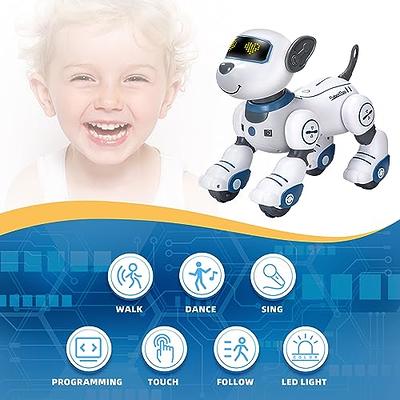 Remote Control Robot Dog Toy for Kids, Programmable Robotic Puppy