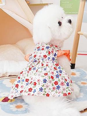 Floral Print Pet Dress