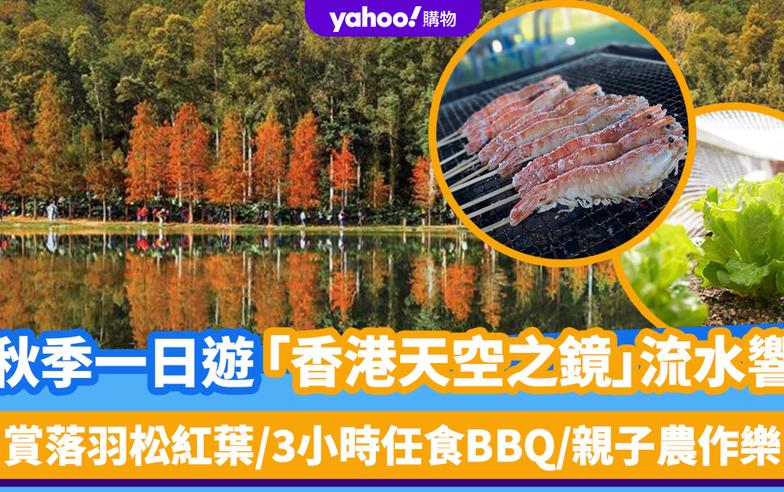 秋季好去處｜香港天空之鏡流水響一日遊！賞落羽松紅葉/3小時任食BBQ/親子農作樂