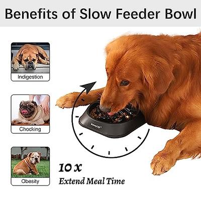 Miracle Vet Slow Feeder Dog Bowl for Fast Eaters - for Small, Medium Sized Dogs - Dog Puzzle Maze Helps Slow Down Eating - Adult, Puppy Food Bowl