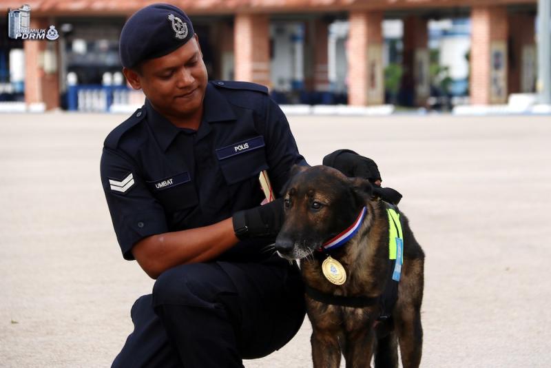 Urby having its moment in the spotlight alongside its handler Corporal Umbat Selan. — Picture from Facebook/PolisDirajaMalaysia