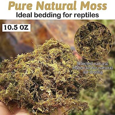 kathson Sphagnum Moss for Reptiles, 10.5 Oz Natural Dried Moss