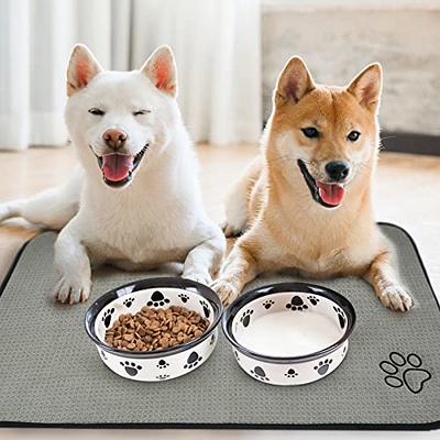 DogBuddy Dog Food Mat - Waterproof Dog Mat for Dog Bowls, Silicone Mat for  Dog Food and Water Bowl, Rubber Dog Bowl Mat with Edges, Nonslip Pet Food