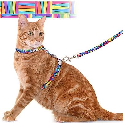 Cat Harness and Leash Set for Walking Escape Proof with ID tag Pocket –  BARKBAY PET