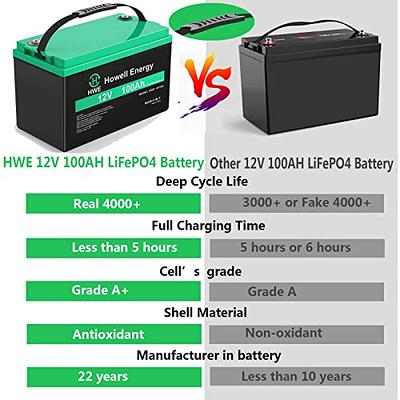 Litime 12V 100Ah LiFePO4 Lithium Battery 100A BMS 4000-15000 Cycles for RV  Solar