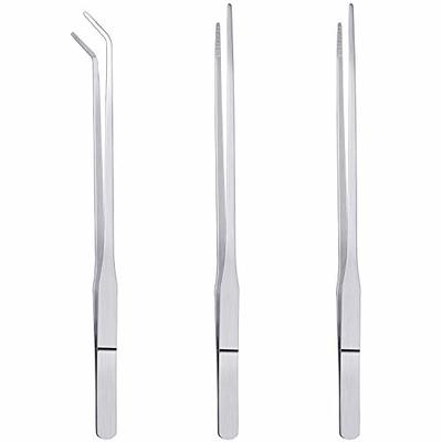 2 Pcs Reptile Feeding Tongs, Super Thick Stainless Steel Forceps Curved and  S