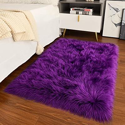 Noahas Fluffy Bedroom Rug Carpet,4x5.3 Feet,Shaggy Fuzzy Rugs for Bedr