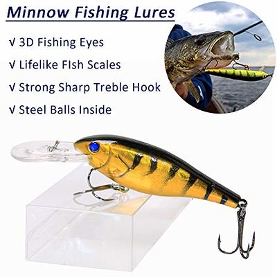 Fishing Lures Hard Bait Minnow Swimbait Crankbait Jerkbait Popper Topwater  Lures Freshwater Saltwater Fishing Lures for Bass Trout Walleye Pike  Catfish - Yahoo Shopping