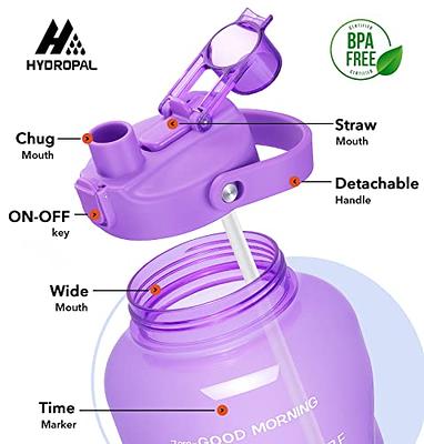 2 Litre Water Bottle with Straw, Sports Water Bottles with Handle, Leak Proof Drinks Bottle BPA Free for Gym Fitness Outdoor Sports, Purple