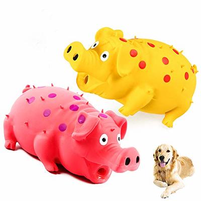 Squeaky Dog toy set of 6 interactive dog toys for small medium and