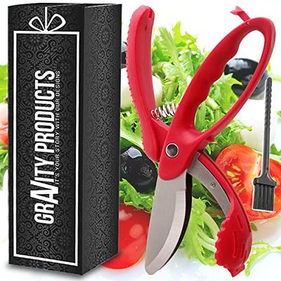 Salad Chopper Scissor, Heavy Duty Kitchen Salad Scissors, Multifunction  Double Blade Salad Cutting Tool (Red) - Yahoo Shopping